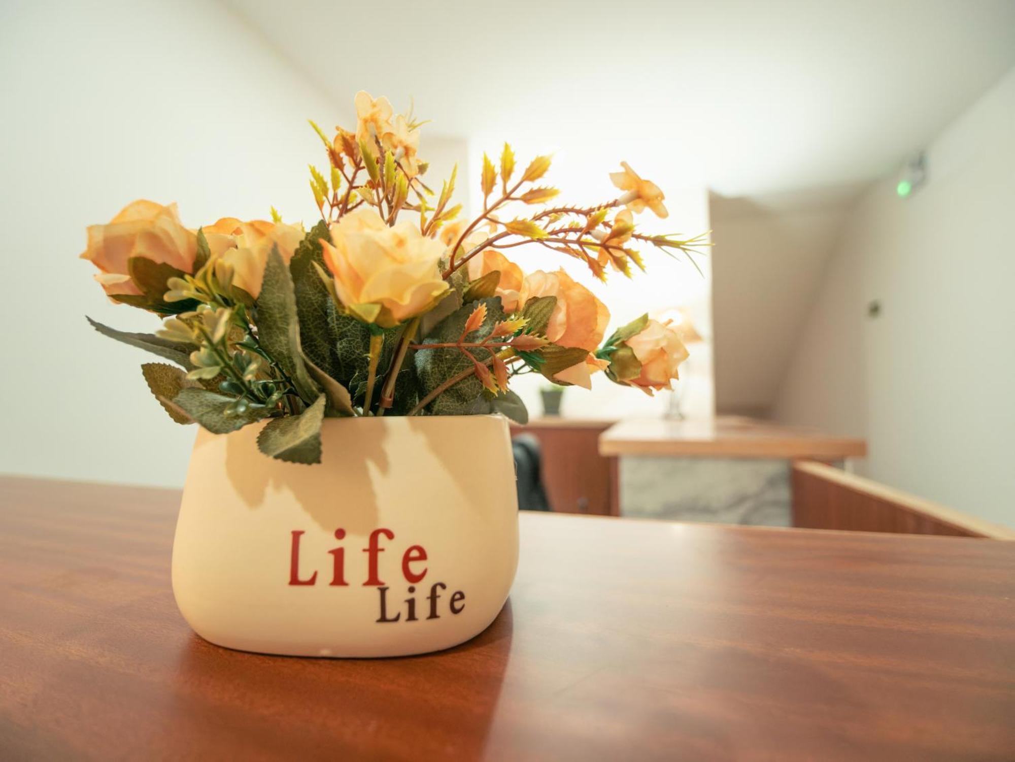 Appartement Residencial Liviamilena Santa Maria